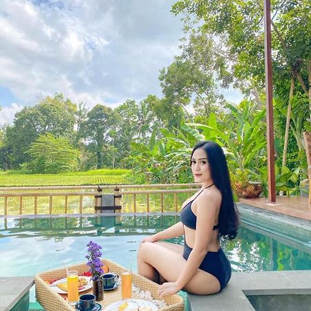 Nirankara Ubud Villa Luaran gambar