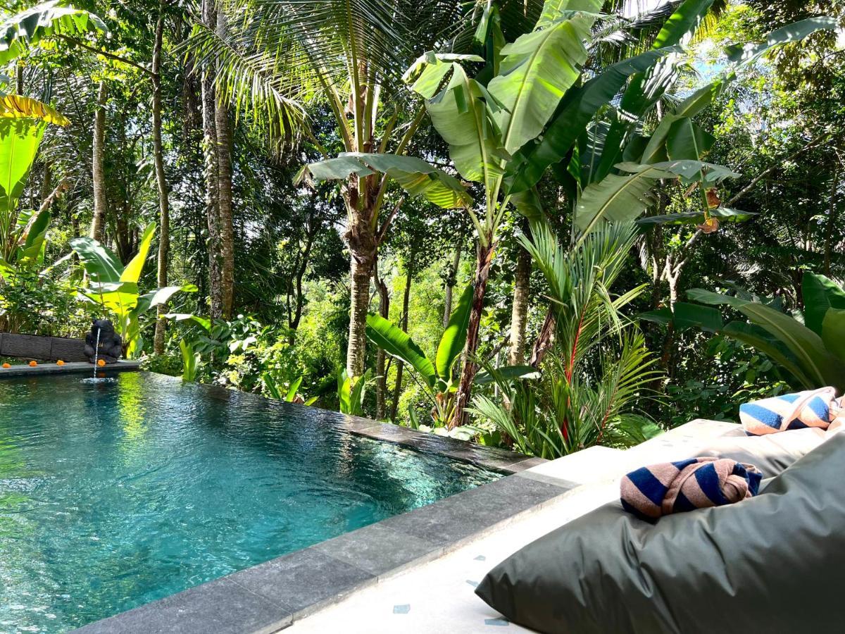 Nirankara Ubud Villa Luaran gambar